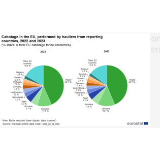 Polonezi au efectuat 43,7% din totalul cabotajului UE